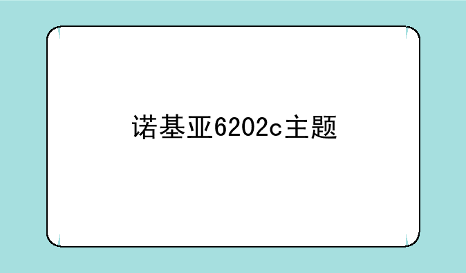 诺基亚6202c主题