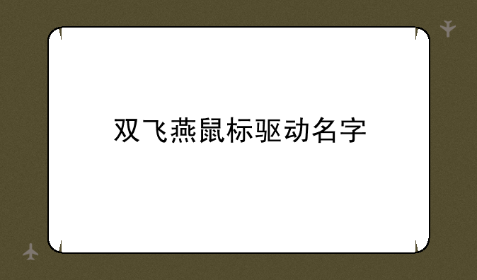 双飞燕鼠标驱动名字
