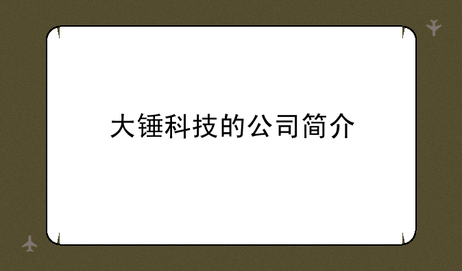 大锤科技的公司简介