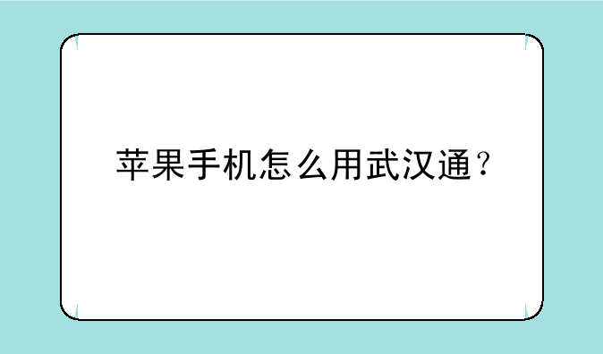 苹果手机怎么用武汉通？