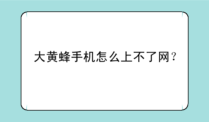 大黄蜂手机怎么上不了网？