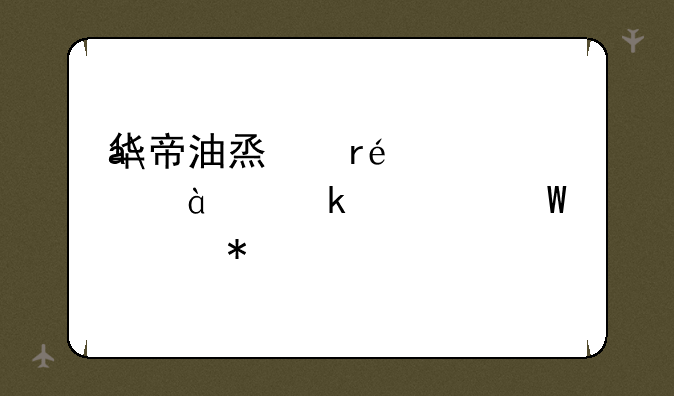 华帝油烟机CXW-200-E801FZ如何自动清洗