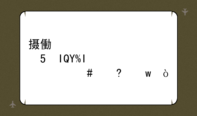 摄像头sony1/3CCD420TVIRCAMERA什么意思？