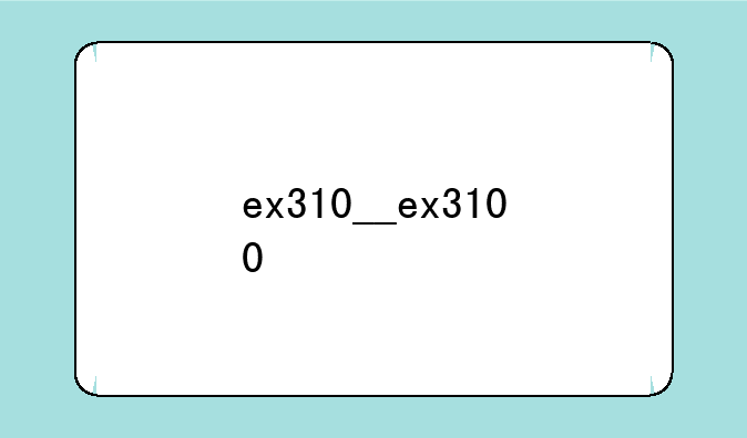 ex310__ex3100