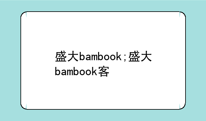 盛大bambook;盛大bambook客