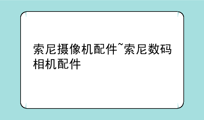 索尼摄像机配件~索尼数码相机配件