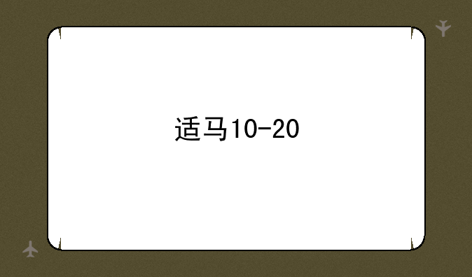 适马10-20