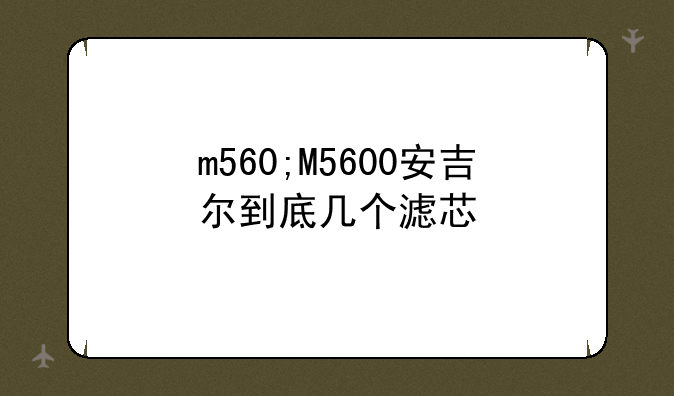 m560;M5600安吉尔到底几个滤芯